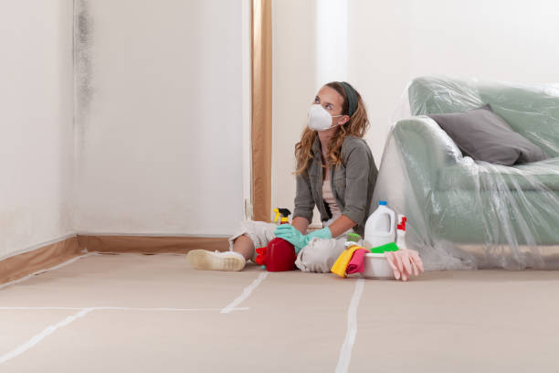 Reliable Mold Removal contractor in Lakewood, WA by WQB Mold Removal